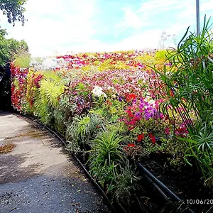 https://casa-patrizia.in-canary-islands.com